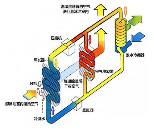 潘馬普（Permapool）泳池除濕熱泵 集除濕、恒溫、環境提升于一體的熱能解決方案